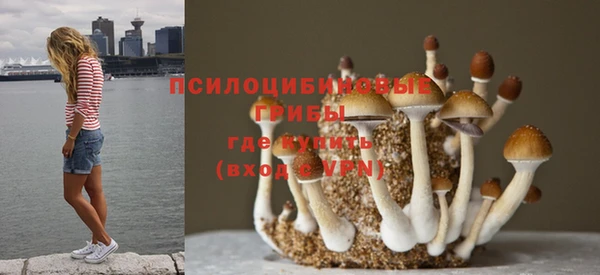 спиды Алзамай