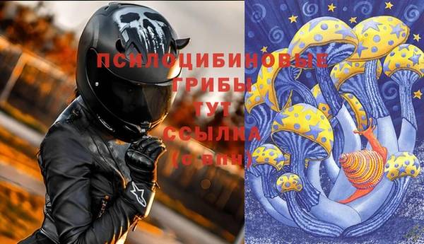 спиды Алзамай