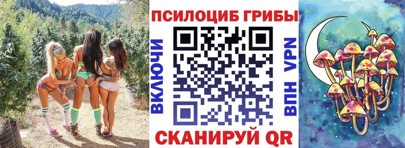 Галлюциногенные грибы мицелий  Яровое 